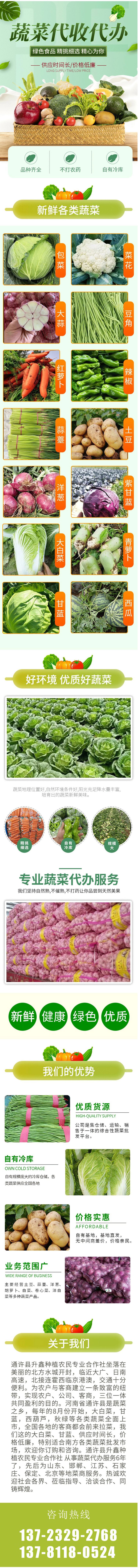新鲜现摘小辣椒-基地线椒农家种植-应季时令蔬菜出售.jpg