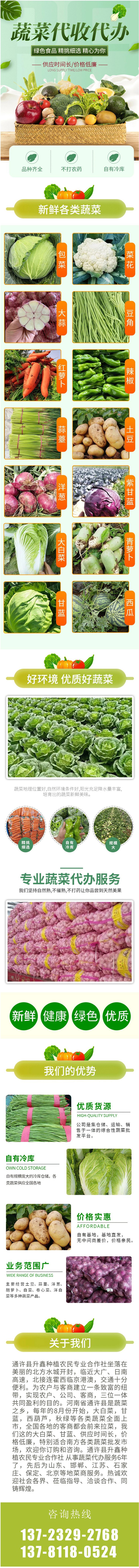 有机胡萝卜-250g-红萝卜-火锅食材-新鲜蔬菜-产地直供.jpg