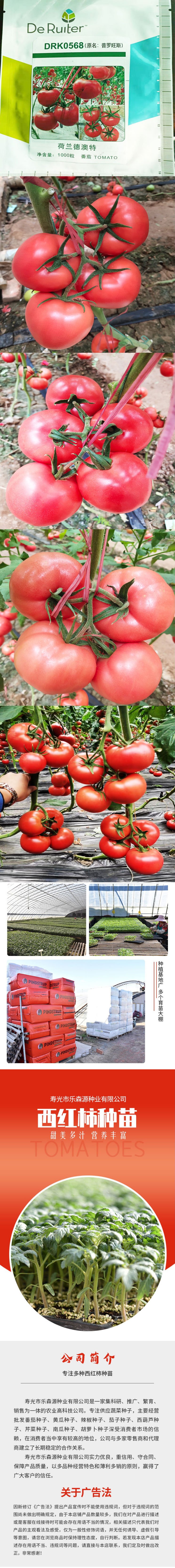 普罗旺斯番茄种子番茄苗子口感型西红柿种子乐森源.jpg
